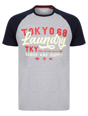 Catalyst Baseball Style Raglan Sleeve Crew Neck T-Shirt in Light Grey Marl - triatloandratx