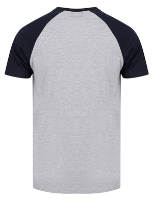 Catalyst Baseball Style Raglan Sleeve Crew Neck T-Shirt in Light Grey Marl - triatloandratx