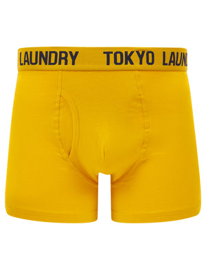 Lumber 2 (2 Pack) Boxer Shorts Set in Golden Rod / Sky Captain Navy - triatloandratx