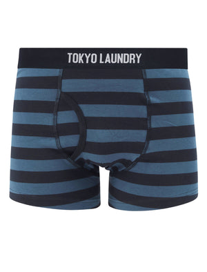 Zavi (5 Pack) Cotton Sports Boxer Shorts Set in Autumn Stripe - triatloandratx