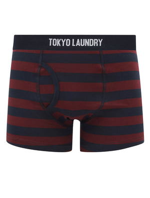 Zavi (5 Pack) Cotton Sports Boxer Shorts Set in Autumn Stripe - triatloandratx