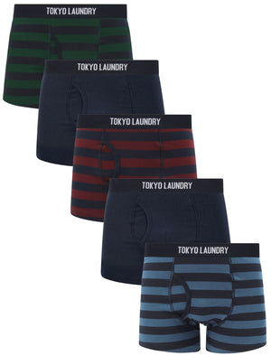 Zavi (5 Pack) Cotton Sports Boxer Shorts Set in Autumn Stripe - triatloandratx