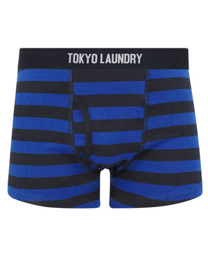 Zavi (5 Pack) Cotton Sports Boxer Shorts Set in Bright Stripe - triatloandratx