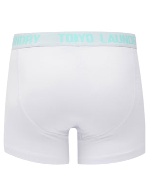 Lammie (2 Pack) Boxer Shorts Set in Blue Tint / White - triatloandratx