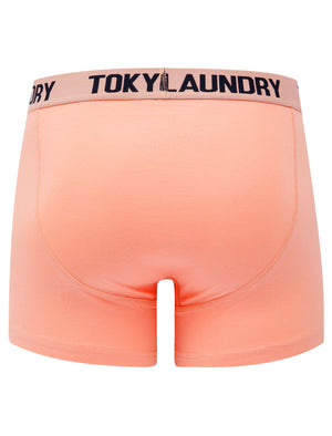 Lammie (2 Pack) Boxer Shorts Set in Coral Cloud / Sky Captain Navy - triatloandratx