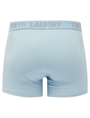 Lammie (2 Pack) Boxer Shorts Set in Light Grey Marl / Kentucky Blue - triatloandratx