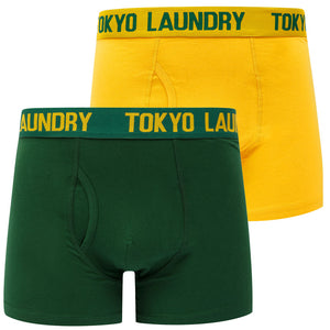 Allyn (2 Pack) Boxer Shorts Set in Artisan's Gold / Dark Green - triatloandratx