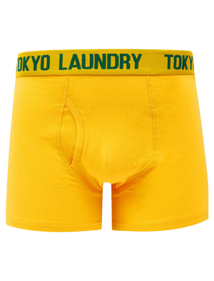 Allyn (2 Pack) Boxer Shorts Set in Artisan's Gold / Dark Green - triatloandratx