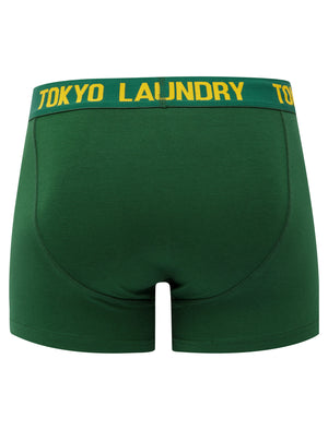 Allyn (2 Pack) Boxer Shorts Set in Artisan's Gold / Dark Green - triatloandratx