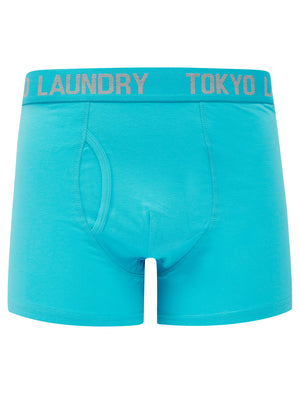 Allyn (2 Pack) Boxer Shorts Set in Blue Atoll / Light Grey Marl - triatloandratx