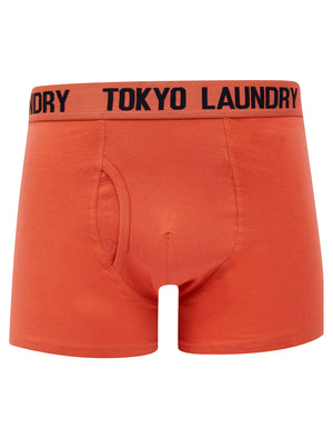 Allyn (2 Pack) Boxer Shorts Set in Sky Captain Navy / Faded Rose - triatloandratx