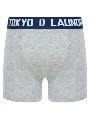 Boys Levens (2 Pack) Boxer Shorts Set in Mood Indigo / Light Grey Marl - triatloandratx Kids