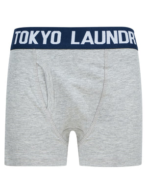 Boys Levens (2 Pack) Boxer Shorts Set in Mood Indigo / Light Grey Marl - triatloandratx Kids