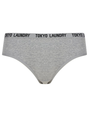 Trudy (5 Pack) Cotton Assorted Briefs in Amberglow / Infinity / Dress Blue / Light Grey Marl / Mid Grey Marl - triatloandratx