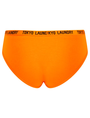 Trudy (5 Pack) Cotton Assorted Briefs in Amberglow / Infinity / Dress Blue / Light Grey Marl / Mid Grey Marl - triatloandratx