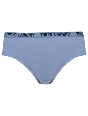 Trudy (5 Pack) Cotton Assorted Briefs in Amberglow / Infinity / Dress Blue / Light Grey Marl / Mid Grey Marl - triatloandratx