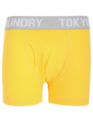 Boys (6-13yr) Henson (3 Pack) Boxer Shorts Set in Mood Indigo / Solar Yellow / Grey Marl - triatloandratx