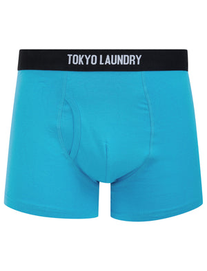 Koman (5 Pack) Cotton Sports Boxer Shorts Set in Blue - triatloandratx