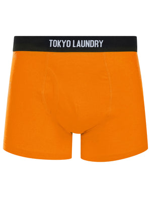 Koman (5 Pack) Cotton Sports Boxer Shorts Set in Bright - triatloandratx