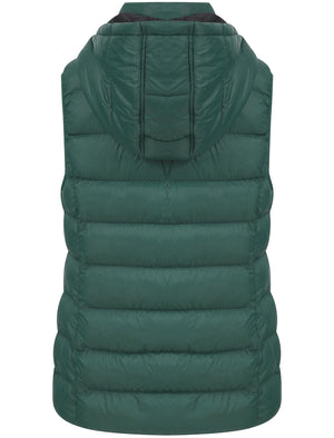 Markle Quilted Puffer Gilet with Hood In Teal - triatloandratx