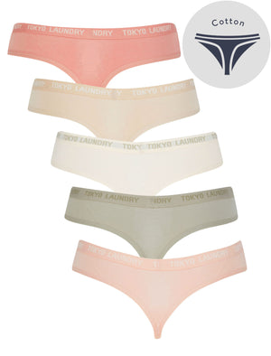 Pampass (5 Pack) Cotton Assorted Thongs in Rose Dawn / Smoke Gray / Pastel Parchmen / Abbey Stone / Rose Smoke - triatloandratx