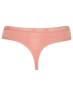 Pampass (5 Pack) Cotton Assorted Thongs in Rose Dawn / Smoke Gray / Pastel Parchmen / Abbey Stone / Rose Smoke - triatloandratx