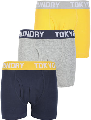 Boys (6-13yr) Henson (3 Pack) Boxer Shorts Set in Mood Indigo / Solar Yellow / Grey Marl - triatloandratx