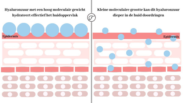 Hyaluronzuur