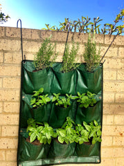 Hanging Wall Garden