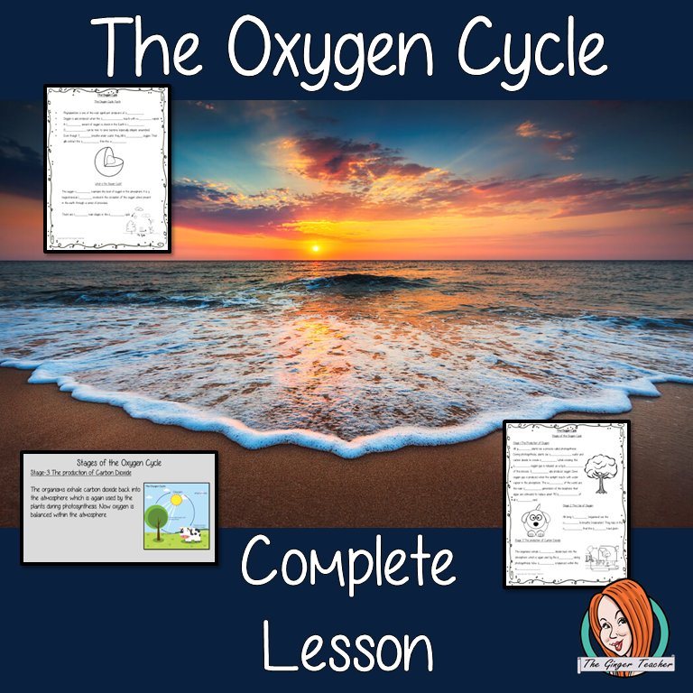 The Oxygen Cycle Science Lesson The Ginger Teacher