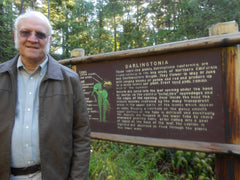 Darlingtonia State Botanical Wayside