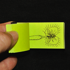 Venus Flytrap flipbook 1