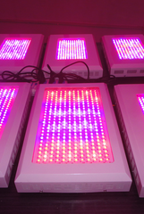 LED plant lights