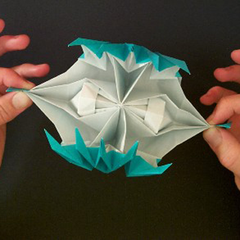 Origami Venus Flytrap Open