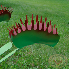 Venus Flytrap Sculpture