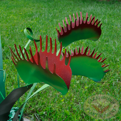 Venus Flytrap Sculpture