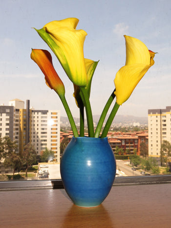 A Chad Luberger vase purchased by  the author, on display in his Los Angeles home.(photo: Norman Kolpas)