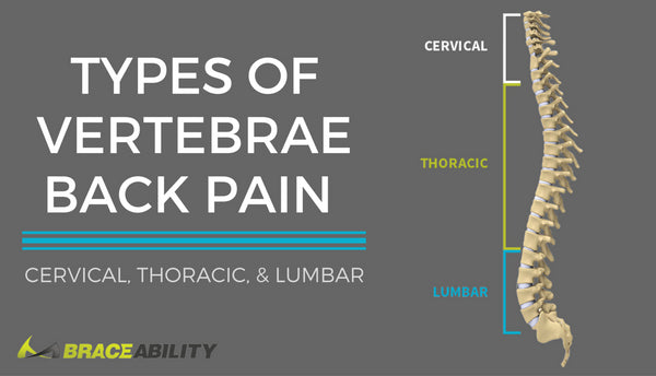 What Type of Vertebrae Spine Pain Do I Have?