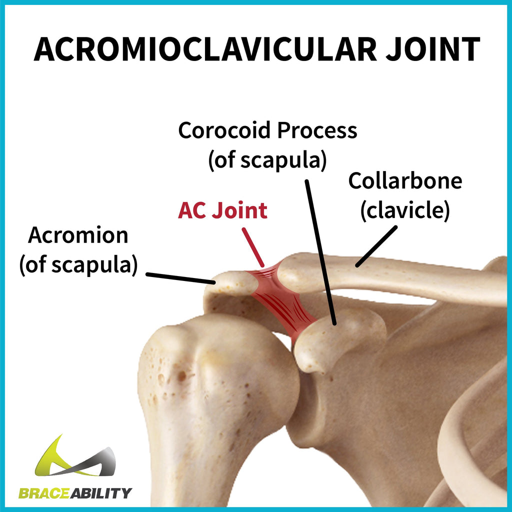 the acromioclavicular joint in the shoulder can be injured from ligament tears