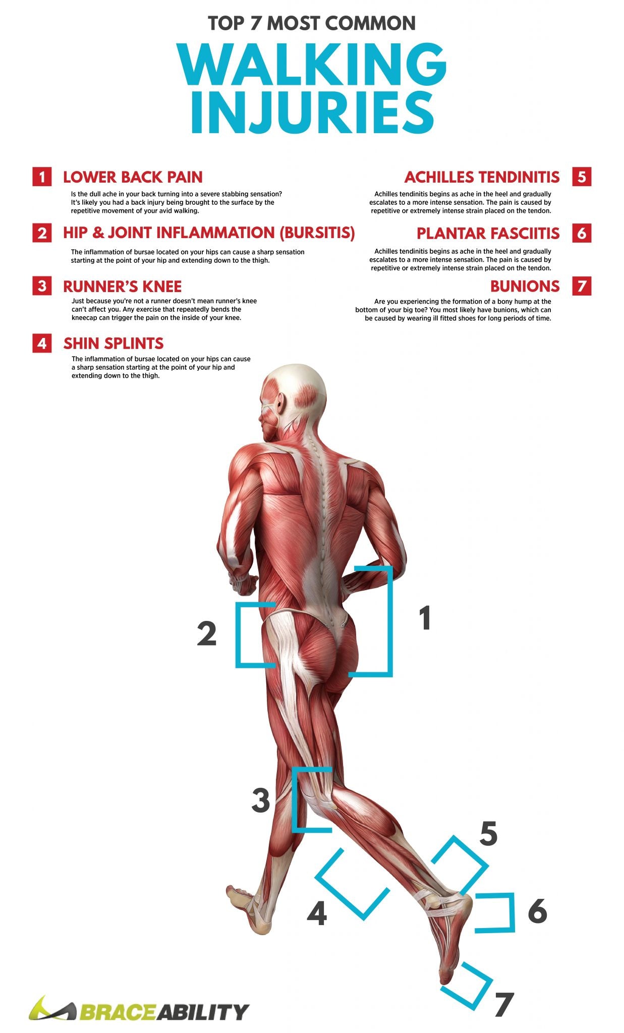 infographic of the most common injuries you can get while walking that can hurt your back or legs