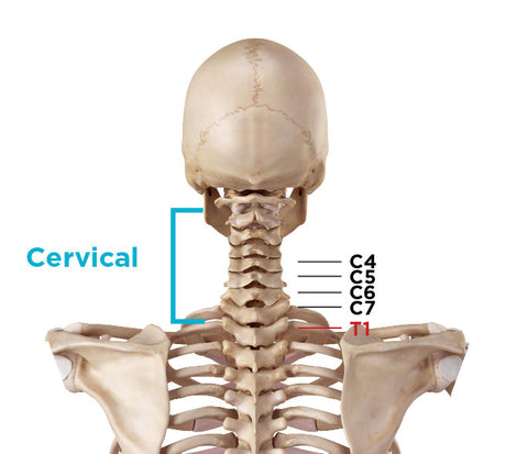 common location of cervical spinal stenosis in neck