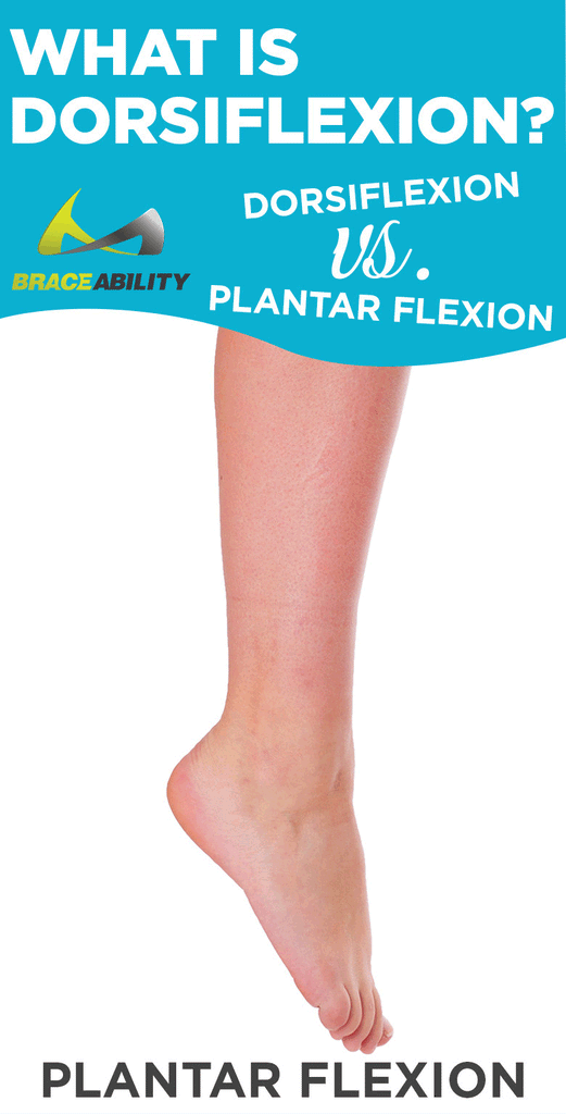 the difference between dorsiflexion and plantar flexion and how it can explain foot drop