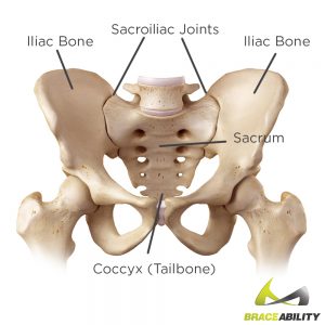 Use this anatomy chart to explain the location of sacroiliac joint pain dysfunction or tailbone pain