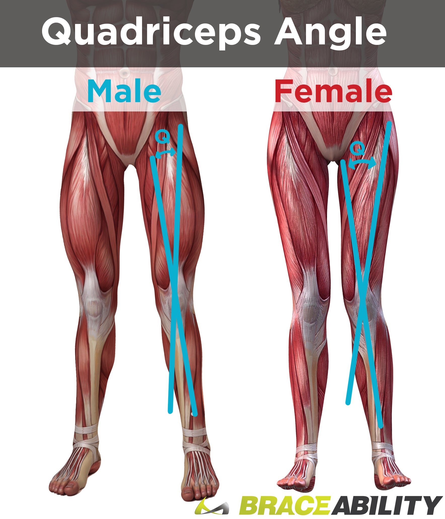 How to measure your q angle to determine if you or more susceptible to patellar subluxation