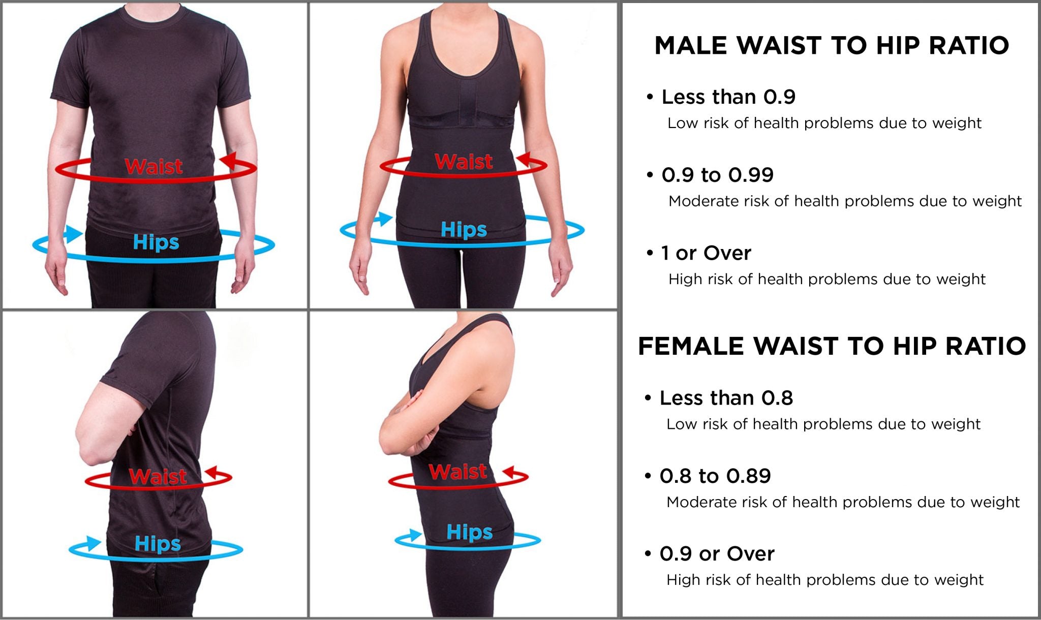 where to measure yourself for hip to waist ratio on the BMI chart