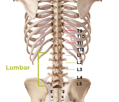 lumbar stenosis in your lower back from the degeneration of spine