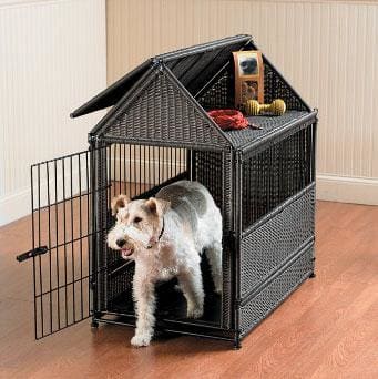 dog house crate