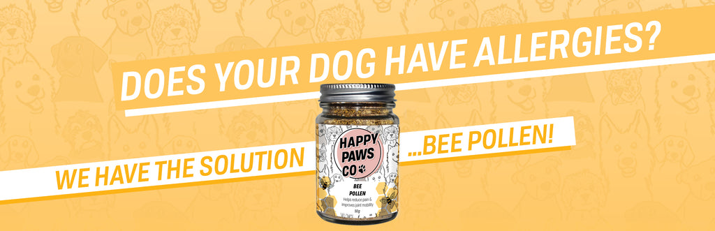 does bee pollen help dogs with allergies