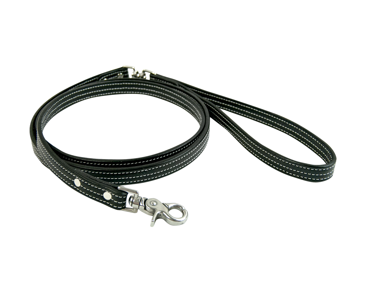 english lead leash