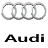 Audi Brisk Spark Plugs for Racing Tuning LPG GPL Methane
